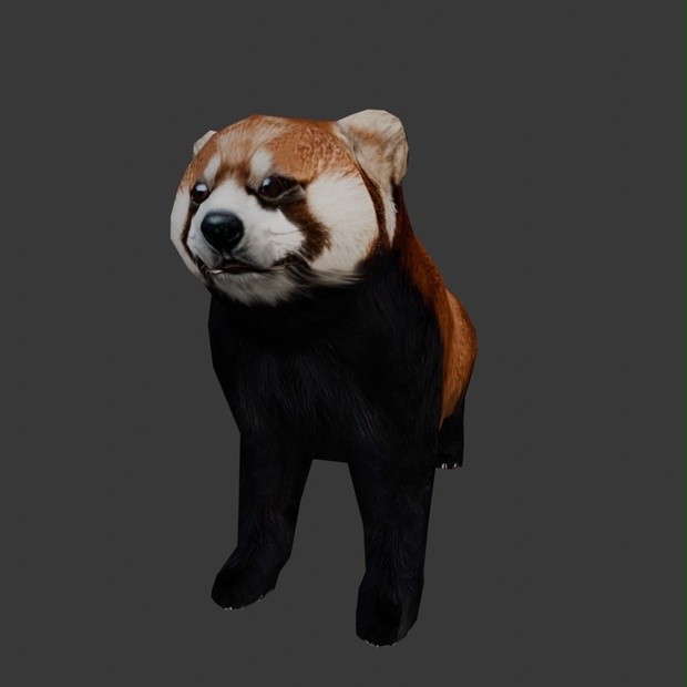 【3D動物】レッサーパンダ(ローポリ)