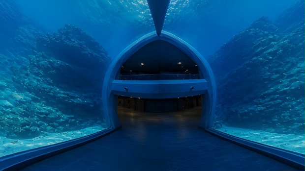 【ワールド・環境】誰もいない水族館 SKYBOXマテリアル