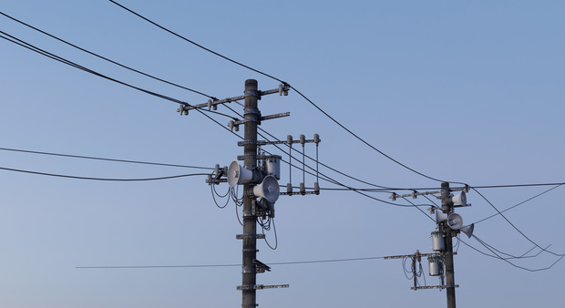 Asset : The Utility Pole