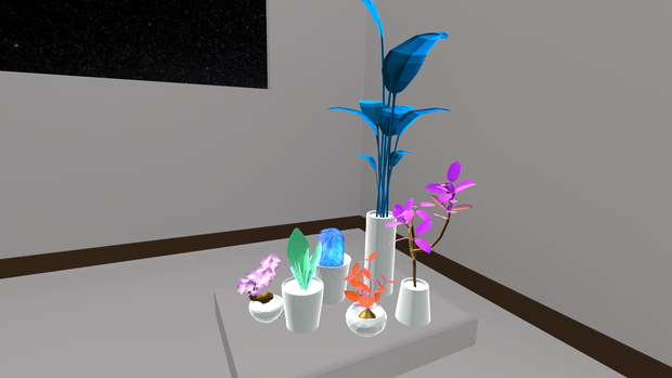 観葉植物(固そう