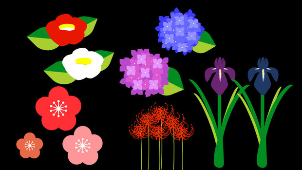 和風の花（椿、梅、菖蒲、彼岸花、紫陽花）