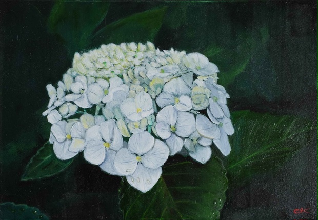 油絵 花 2022-3 油絵 花 2022-3