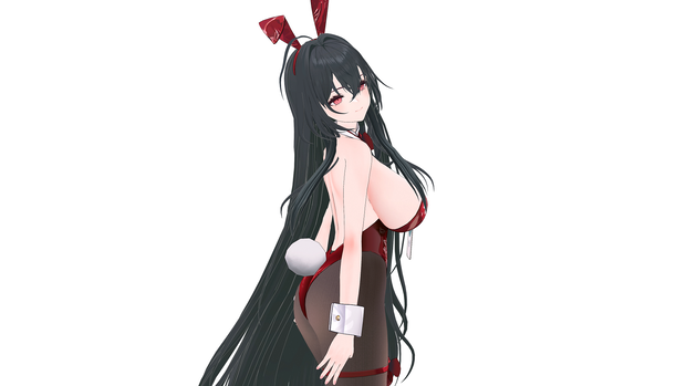 Taiho(Bunny) R18 V1.0
