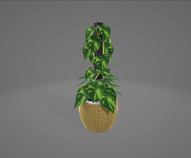 【3D観葉植物】ポトス