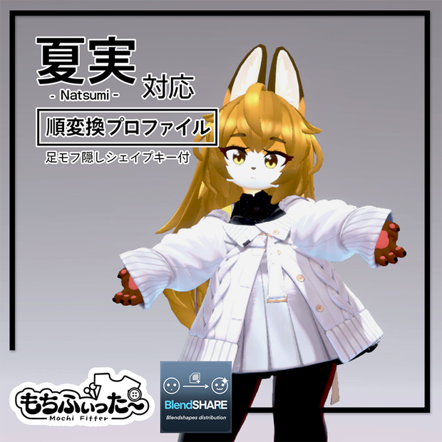 【無料】『夏実 -Natsumi-』対応 もちふぃった～ 順変換プロファイル＋追加シェイプキー