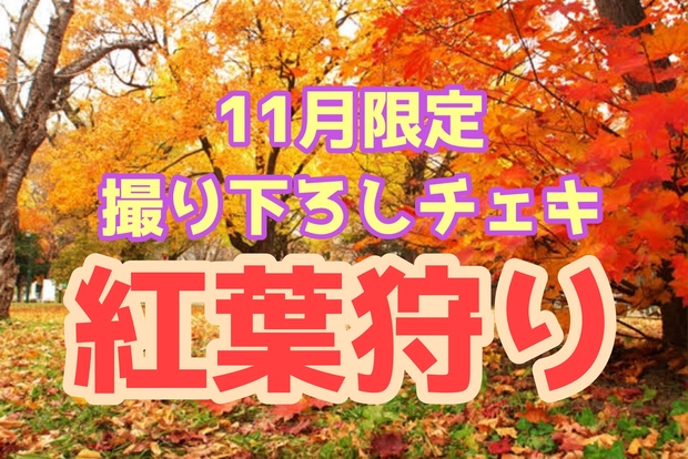 新】11月限定撮り下ろしチェキ【紅葉狩り】 - つなかん！ - BOOTH