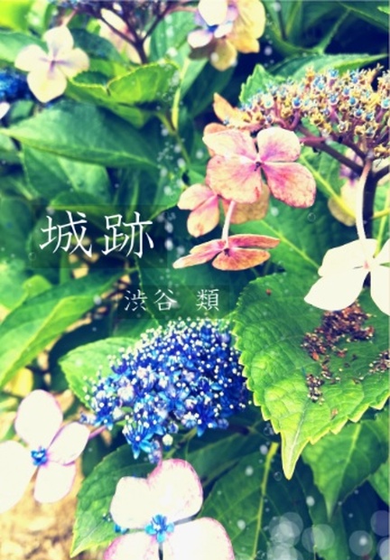 笛夢小説 城跡 Shibuya07 Booth