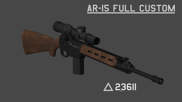 AR-15 full custom