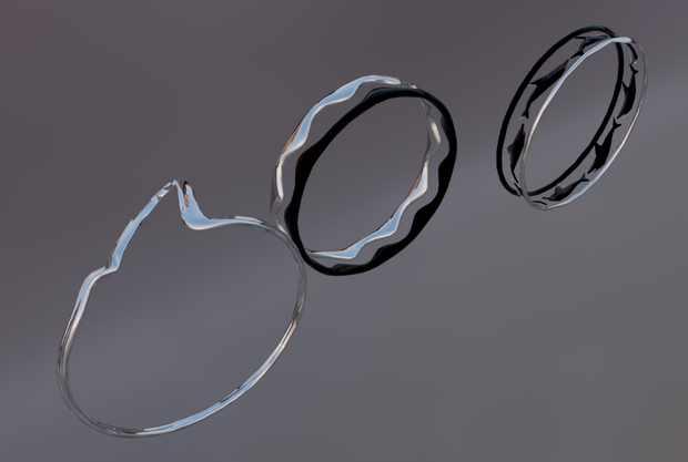 03_sharke rings_