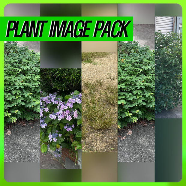 PLANT IMAGE PACK 01 - 5 日本の街角植物