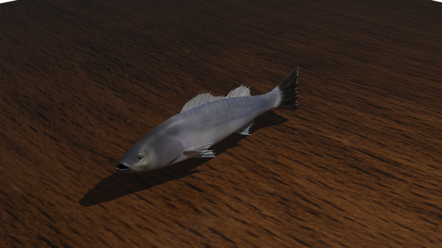 ３Ｄ魚