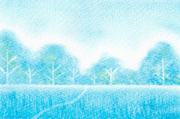 133彩の森★★【黄/青】【黄/桃/青】【黄/桃/青】