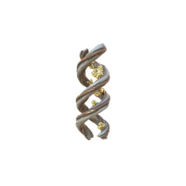 Helix of Nature 3d model