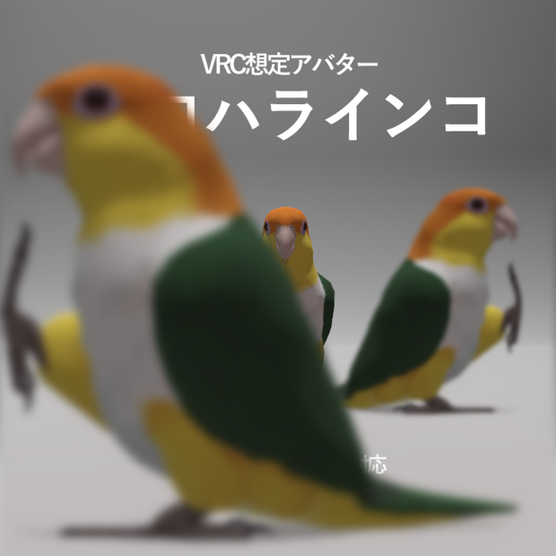 シロハラインコ アバター
