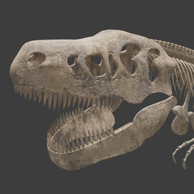 T.rex