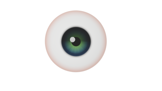 両目 モデリングオブジェクト作品 eyes