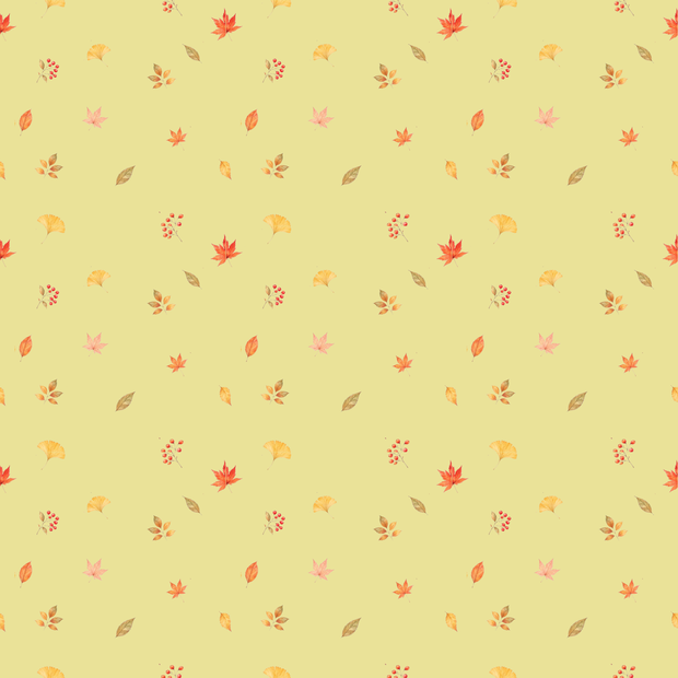 autumn leaves/紅葉