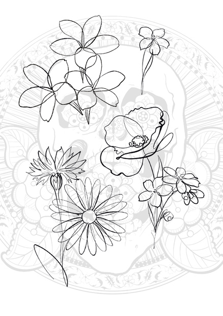 【高解像度PNG】Wild Flowers Line Art｜PNG素材8点セット