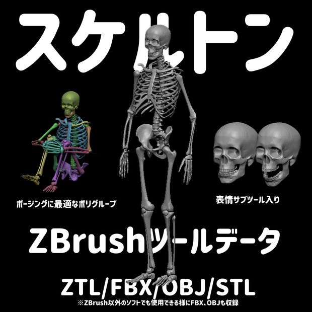 【ZBrush】スケルトン　3Dモデル(他ソフトでの使用可)