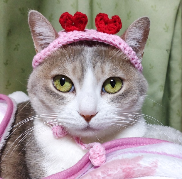 猫用 バレンタイン 被り物 かぎ針編み - Miyahika Cats - BOOTH