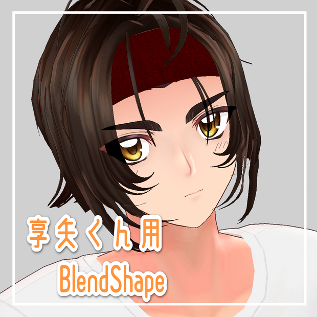 享矢くん用　Blendshape