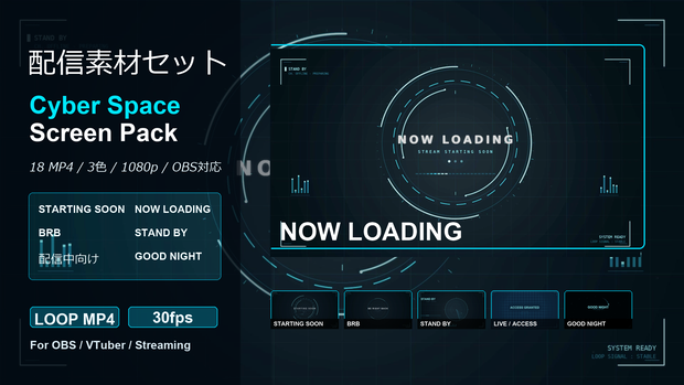 【配信素材セット】Cyber Space Screen Pack｜待機画面・NOW LOADING・BRB・配信終了｜18MP4・3色・OBS対応
