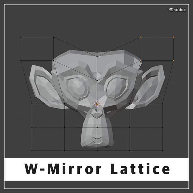 W-Mirror Lattice / Blender Addon (EN,KR)