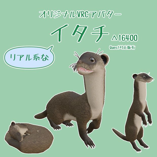 リアルチックなイタチ【VRCアバター/Quest版有】【ver1.02】