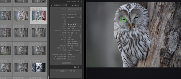 FocusVisualizer(Lightroomclassicプラグイン)フォーカス枠可視化ツール
