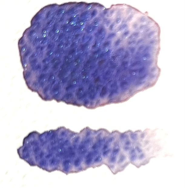 揺蕩う