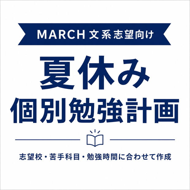 MARCH文系志望向け｜夏休み個別勉強計画作成