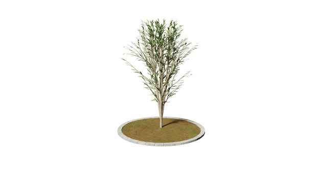 【Free DL】plant_1