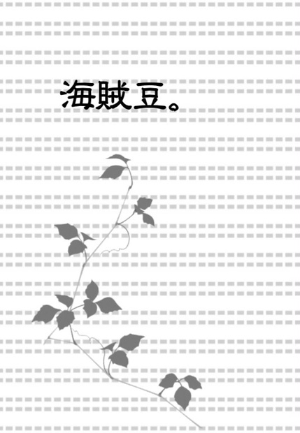 海賊豆 ゾロナミ 海賊の隠れ家 Booth