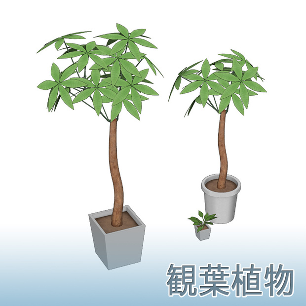 【3D素材】観葉植物