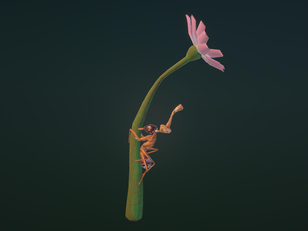 冬虫夏草-蟻-