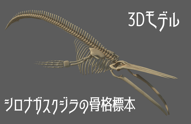 【3Dモデル】シロナガスクジラの骨格標本【VRCワールド向け】