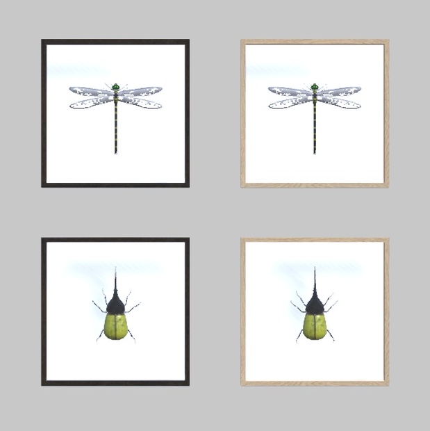 3dモデル オニヤンマとヘラクレスオオカブトの標本 おぺぐcreation Booth