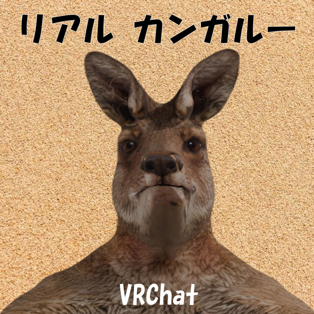 オリジナル3Dモデル：リアルカンガルー kangaroo