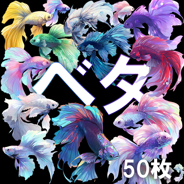 【透過素材】熱帯魚・ベタ50枚(闘魚、トウギョ、Betta Fish)