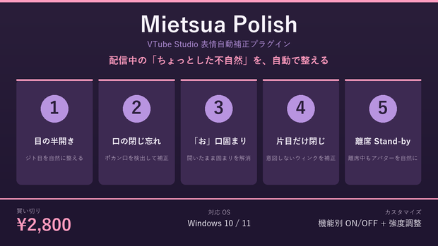 Mietsua Polish — VTube Studio 表情自動補正プラグイン