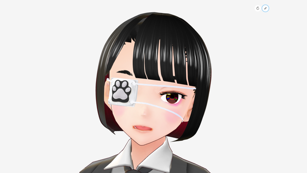 [FBX] 眼帯（肉球）🪙