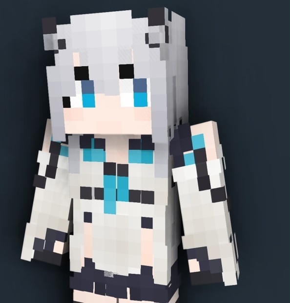 Minecraft Skin - a302