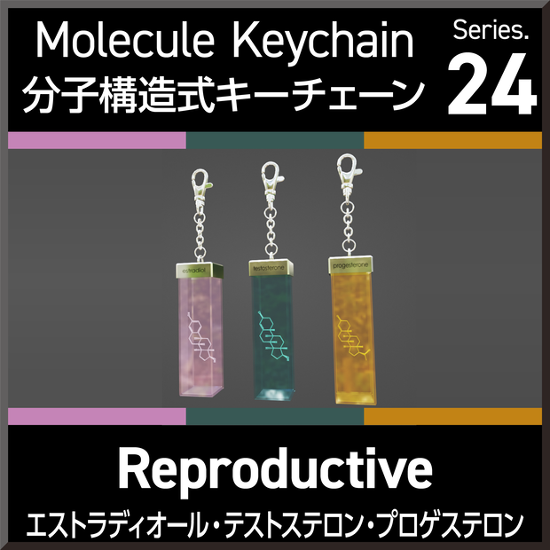 Molecule Keychain Series.24 Reproductive