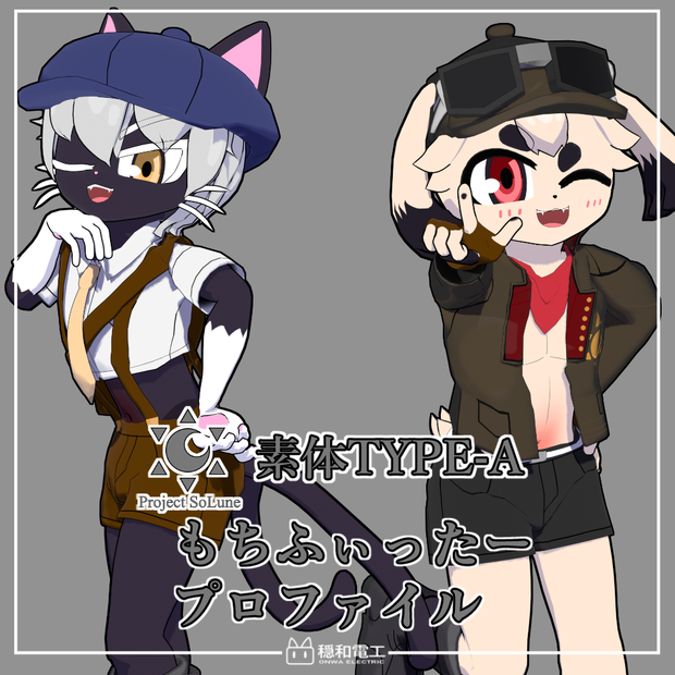 【両変換対応】Project SoLune TYPE-A 専用　もちふぃった～プロファイル