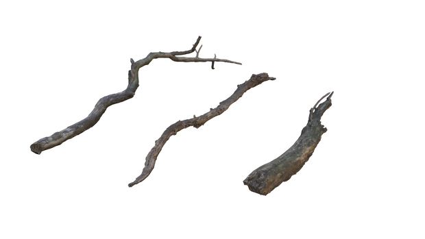 枝(dry_branch)