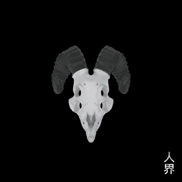 山羊頭骨