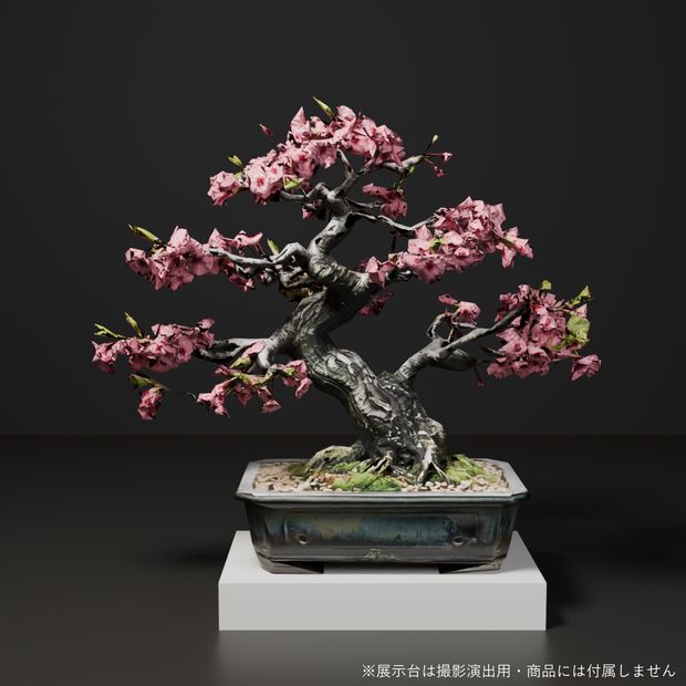 盆栽 桜 花雲｜VRChat向け和風3D置物・満開の八重桜【ワールド装飾】
