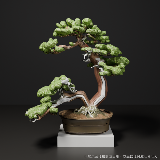 盆栽 真柏 比翼｜VRChat向け和風3D置物・寄り添う双幹の白い舎利【ワールド装飾】