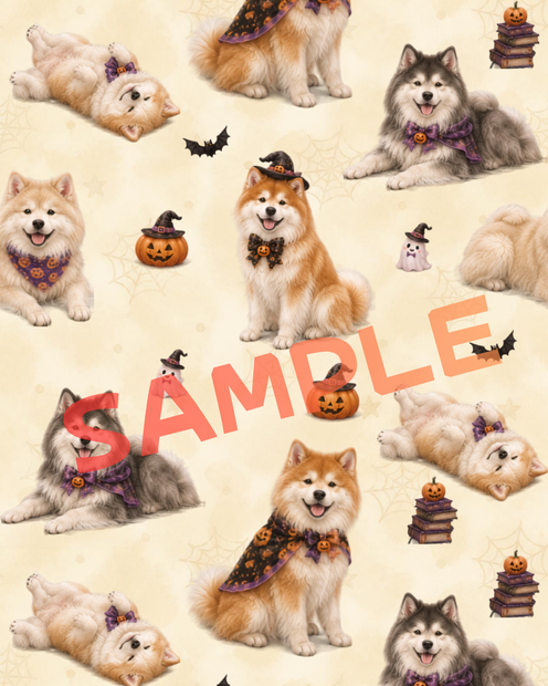 【無料お試し】モフモフ秋田犬のハロウィン背景素材（インスタ・SNS投稿用/PNG）