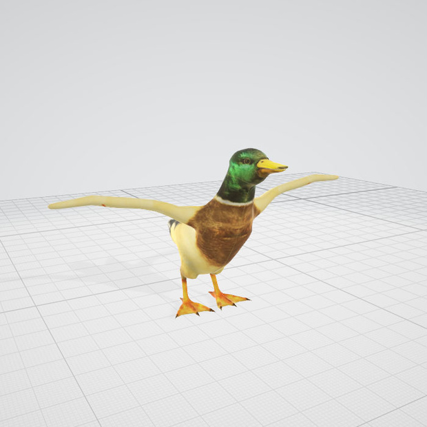 3d  　ダック